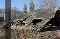 Ruins of the gas chamber and the crematorium no. 2 - Auschwitz II-Birkenau